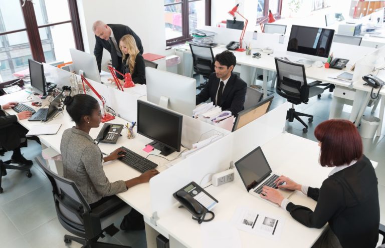 Profissionais da área de humanas no trabalho